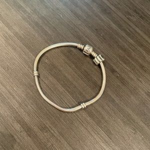 Pandora Moments Snake Chain Bracelet and a charm